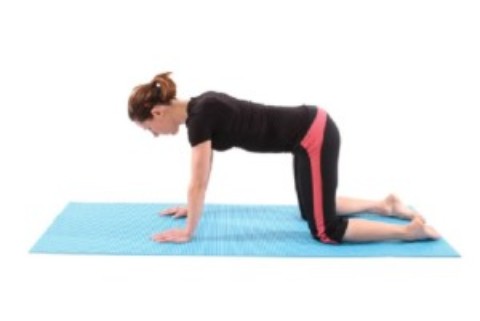 HOME EXCERCISES FOR YOUR BACK PAIN
